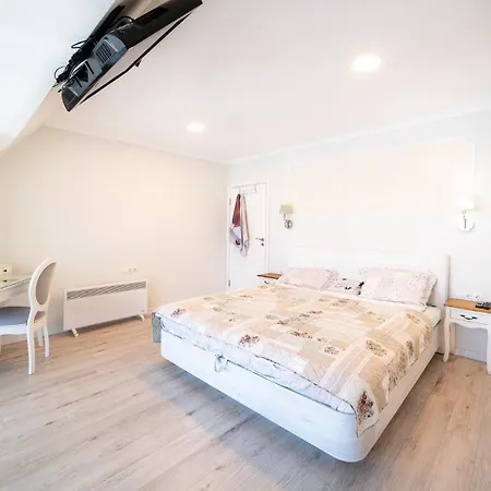 Julia Central * Warna